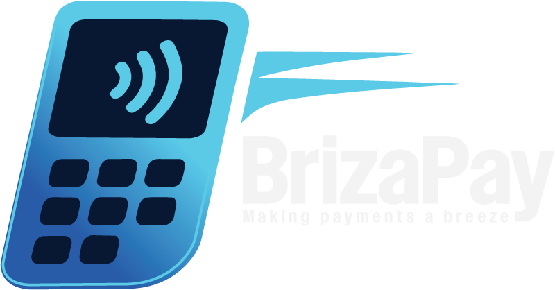 brizapay logo - blue highlight